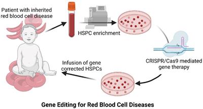 Gene Editing for Inherited Red Blood Cell Diseases